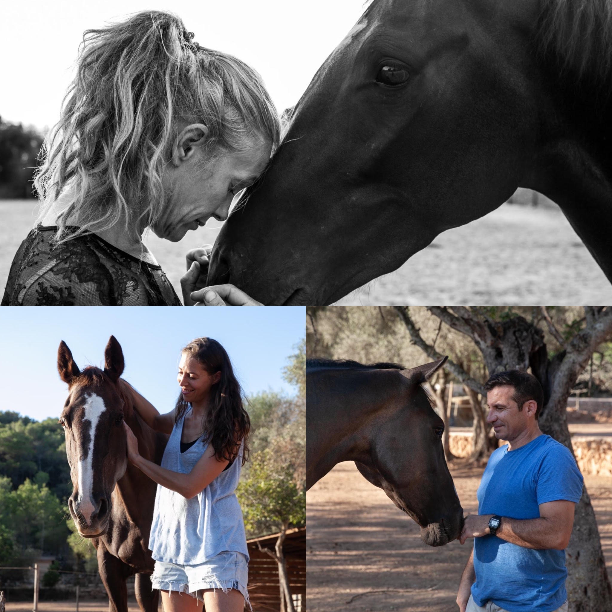 Why we use equine therapy at our rehab in Spain?