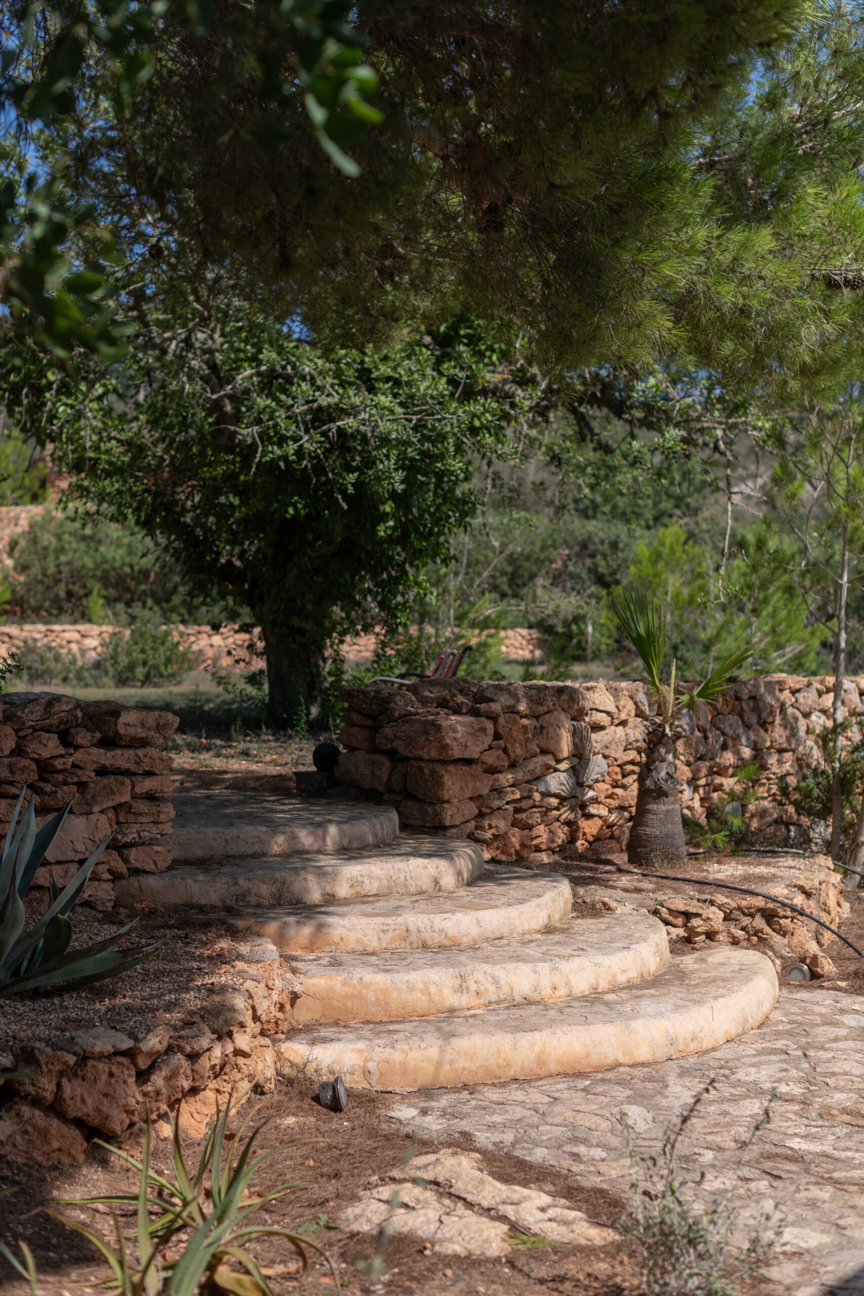 Ibiza Calm casita _ Gypsy Westwood-92 Image of the gardens at Ibiza Calm