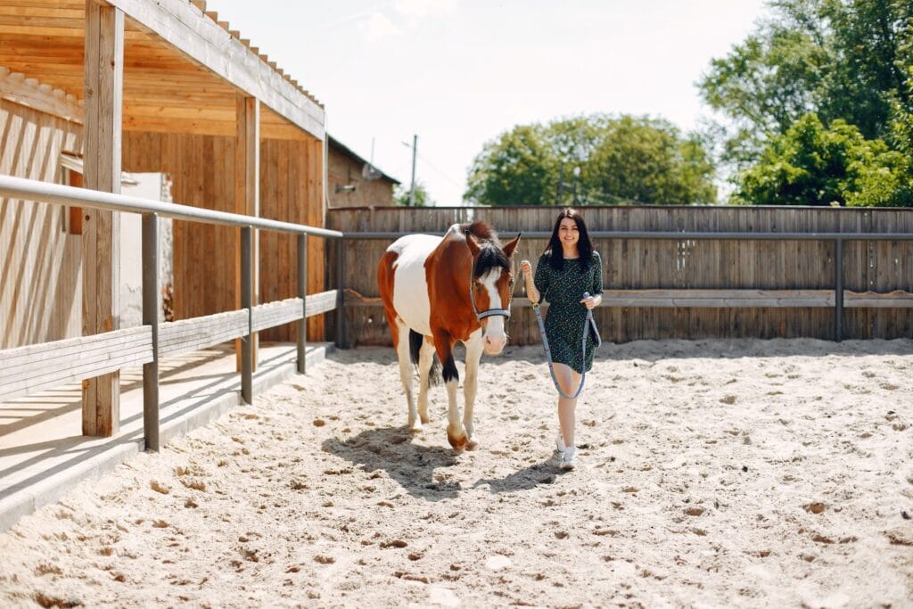 Equine Assisted Therapy