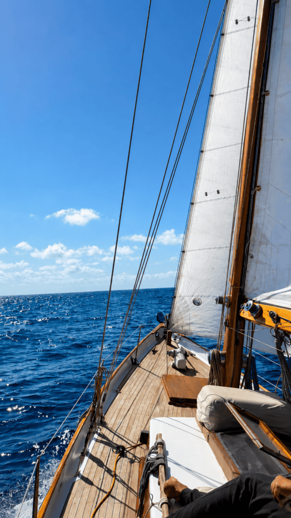 Sailing at Ibiza Calm